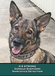 K9 Strong